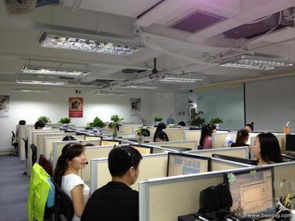 深圳神州商务信息咨询公司工作环境探析 专业咨询平台的职场氛围与机遇