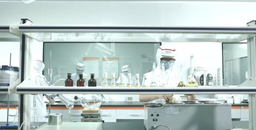 冻干饼干方便食品一站式代加工供求信息及商务咨询服务